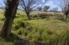 177 Steens Road, Boho South, Vic 3669-Image