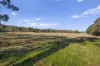 177 Steens Road, Boho South, Vic 3669-Image