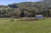 177 Steens Road, Boho South, Vic 3669-Image