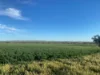 1781 Old Beverley Road, Dangin, WA 6383-Image