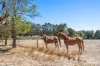 1793 Rosa Brook Road, Rosa Brook, WA 6285-Image