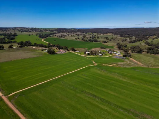 1799 Digilah Road, Dunedoo, NSW 2844
