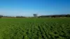 1799 Digilah Road, Dunedoo, NSW 2844-Image