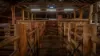 1799 Digilah Road, Dunedoo, NSW 2844-Image