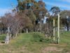 180 Brigadoon Road, Highlands VIC 3660-Image