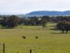 180 Brigadoon Road, Highlands VIC 3660-Image
