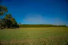 180 Sharpes Road, Miners Rest, Vic 3352-Image