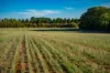 180 Sharpes Road, Miners Rest, Vic 3352-Image