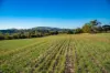 180 Sharpes Road, Miners Rest, Vic 3352-Image