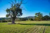 180 Sharpes Road, Miners Rest, Vic 3352-Image