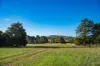 180 Sharpes Road, Miners Rest, Vic 3352-Image