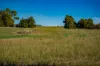 180 Sharpes Road, Miners Rest, Vic 3352-Image