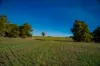 180 Sharpes Road, Miners Rest, Vic 3352-Image