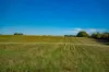180 Sharpes Road, Miners Rest, Vic 3352-Image