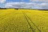 1813 Fisher Road, Mobrup, WA 6395-Image