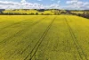 1813 Fisher Road, Mobrup, WA 6395-Image