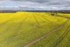 1813 Fisher Road, Mobrup, WA 6395-Image