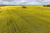 1813 Fisher Road, Mobrup, WA 6395-Image