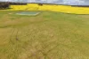 1813 Fisher Road, Mobrup, WA 6395-Image