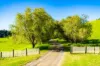 182 Punkalla Tilba Road, Central Tilba, NSW 2546-Image