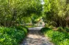 182 Punkalla Tilba Road, Central Tilba, NSW 2546-Image