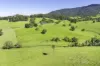 182 Punkalla Tilba Road, Central Tilba, NSW 2546-Image