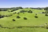 182 Punkalla Tilba Road, Central Tilba, NSW 2546-Image