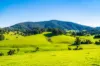182 Punkalla Tilba Road, Central Tilba, NSW 2546-Image