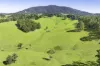 182 Punkalla Tilba Road, Central Tilba, NSW 2546-Image