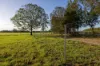18220 & 18146 Pacific Highway, JONES ISLAND NSW 2430-Image
