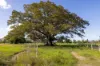 18220 & 18146 Pacific Highway, JONES ISLAND NSW 2430-Image