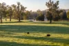 1834-1952 Oura Road, Oura, NSW 2650-Image