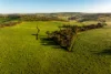 1834-1952 Oura Road, Oura, NSW 2650-Image
