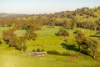 1834-1952 Oura Road, Oura, NSW 2650-Image