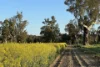 1834-1952 Oura Road, Oura, NSW 2650-Image