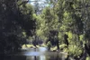 1834-1952 Oura Road, Oura, NSW 2650-Image