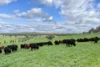1834-1952 Oura Road, Oura, NSW 2650-Image