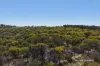 184 Ewert Road, Morbinning, WA 6304-Image
