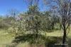 184 Ewert Road, Morbinning, WA 6304-Image