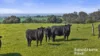 184 Wattle Flat Road, Strathalbyn, SA 5255-Image