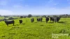 184 Wattle Flat Road, Strathalbyn, SA 5255-Image