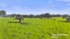 184 Wattle Flat Road, Strathalbyn, SA 5255-Image