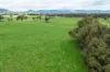 185 Jingellic Road, Holbrook, NSW 2644-Image