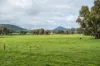 185 Jingellic Road, Holbrook, NSW 2644-Image