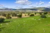 185 Trout Farm Road, Wyangala, NSW 2808-Image