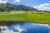 185 Trout Farm Road, Wyangala, NSW 2808-Image