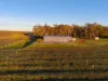 186 Ferngrove Road, Frankland River WA 6396-Image