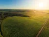 186 Ferngrove Road, Frankland River WA 6396-Image