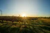 186 Ferngrove Road, Frankland River WA 6396-Image