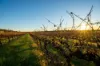 186 Ferngrove Road, Frankland River WA 6396-Image